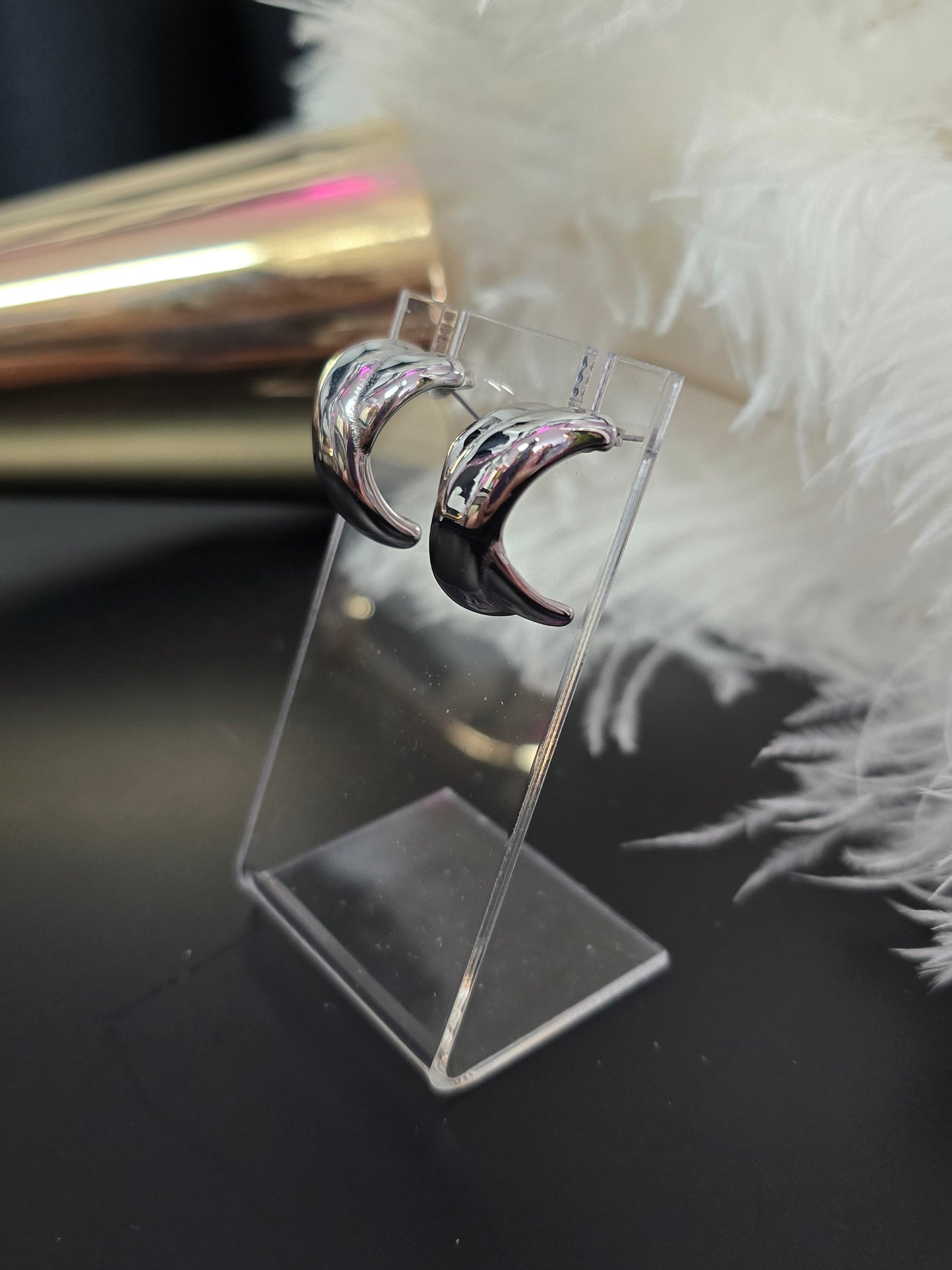 Silver X Stainless Steel Earrings
