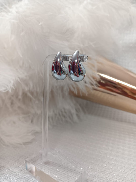 Drop Silver Stainless Steel Earrings